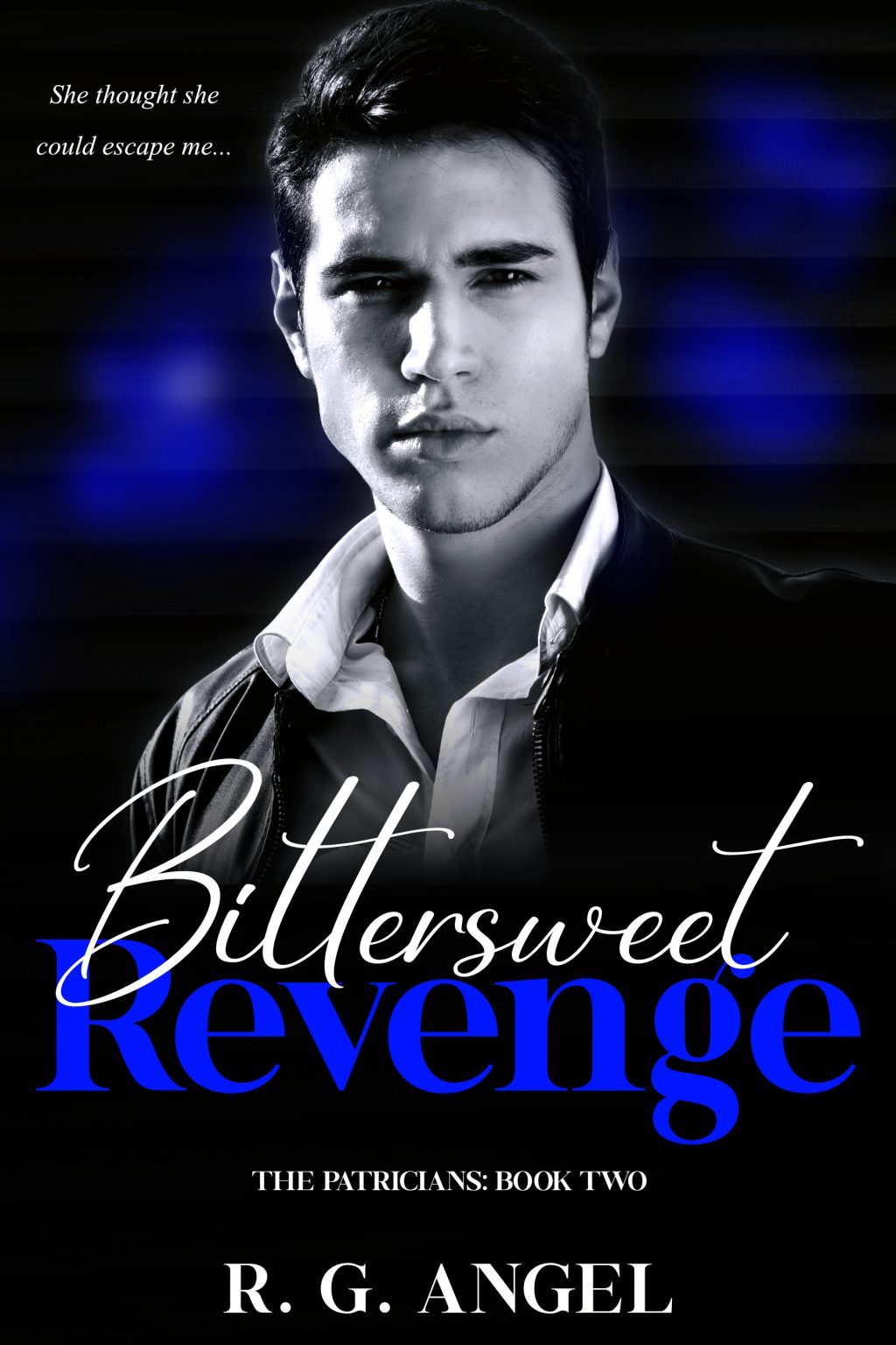 Bittersweet Revenge R.G. Angel